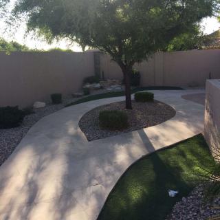 A beautifully landscaped backyard featuring a curved pathway, a large tree, and well-maintained garden areas.