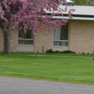 A suburban house with a blooming tree and a well-maintained lawn in spring.