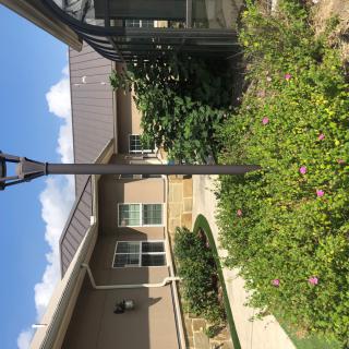 A residential backyard features a lamp post, garden, and pathway under a clear blue sky.