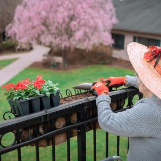 A woman in a hat tends to potted flowers on a balcony with a blooming tree in the background.