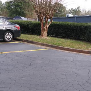 A view of a parking lot with a parked car next to bushes and a tree.