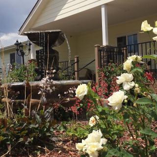 A beautiful garden with white roses and a fountain in front of a porch.