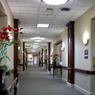 A well-lit hallway with decorative plants and elegant furnishings.