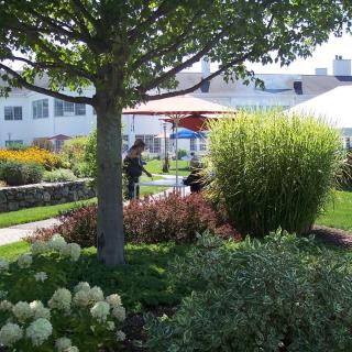 A serene garden with lush greenery, colorful flowers, and a shaded seating area under an umbrella.