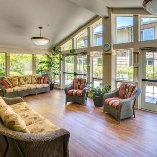 A sunlit living room with large windows, comfortable seating, and indoor plants.