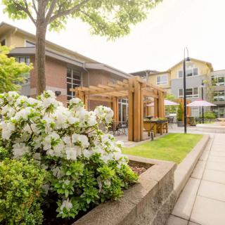 A beautifully landscaped outdoor area with blooming flowers and modern architecture.