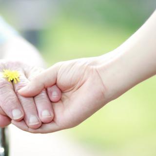 Whole Life Home Care