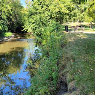 A serene view of a river bordered by lush greenery in a peaceful park.