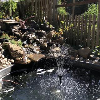A serene garden pond with a small fountain, surrounded by rocks and greenery.