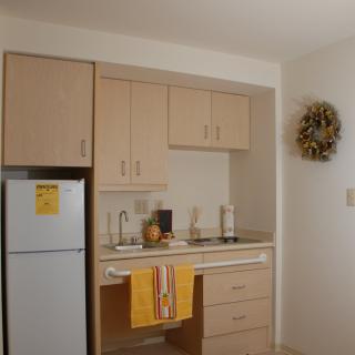 A compact kitchen with wooden cabinets, a refrigerator, and neatly arranged items.