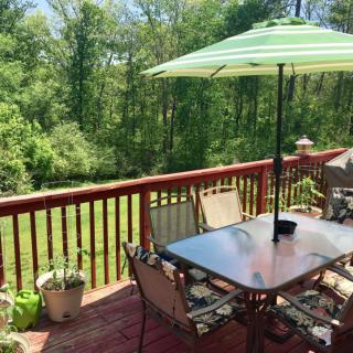 A sunny patio with a table, chairs, and an umbrella overlooking a lush green backyard.