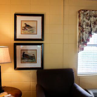 A cozy corner of a living room featuring framed bird artwork, a lamp, and a window with patterned curtains.