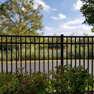 A view of a fenced area with trees and a clear sky in the background.