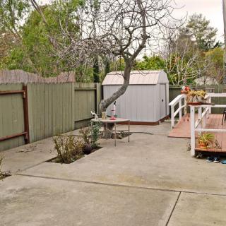 A quiet backyard with a tree, shed, and deck area.
