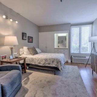 A cozy and well-decorated bedroom with ample natural light.