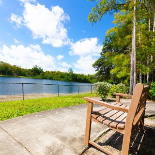 A relaxing wooden bench by the lake under a bright blue sky.