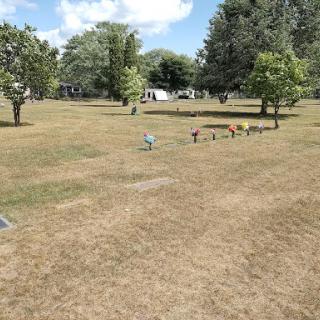 A serene park scene with scattered trees and a grassy area under a bright sky.