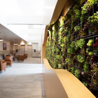 A beautifully designed interior featuring a vertical garden that adds a touch of nature to the modern space.