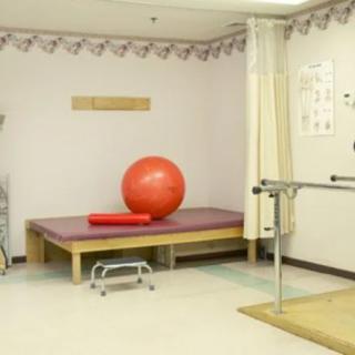 A physical therapy room equipped with an exercise ball, mat, and parallel bars for rehabilitation exercises.