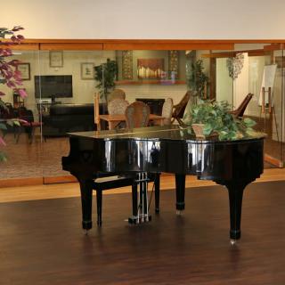 A grand piano in a spacious living room with plants and mirrors.