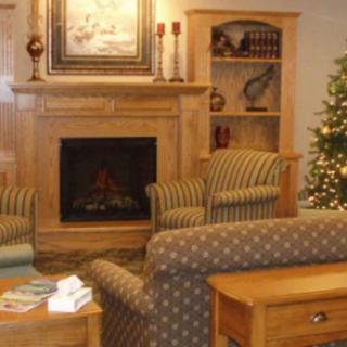 A cozy living room with a fireplace, adorned with bookshelves and a decorated Christmas tree.