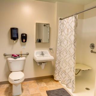 A handicap accessible bathroom with a toilet, sink, and shower area.