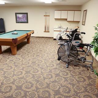 A cozy game room featuring a pool table and exercise equipment on a carpeted floor.