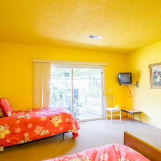 A vibrant bedroom with twin beds and yellow walls, featuring a large window and a wall-mounted TV.
