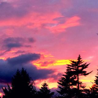 A vibrant sunset with silhouettes of trees against a colorful sky.