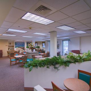 A spacious office lounge area with seating and plants.