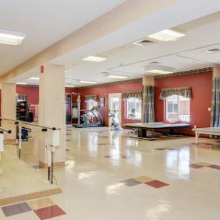 A spacious rehabilitation therapy room equipped with various exercise equipment, featuring bright lighting and accessibility features.
