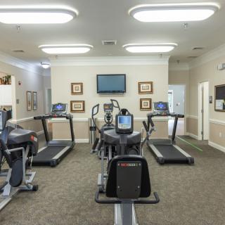 A clean and well-organized gym featuring treadmills and elliptical machines.