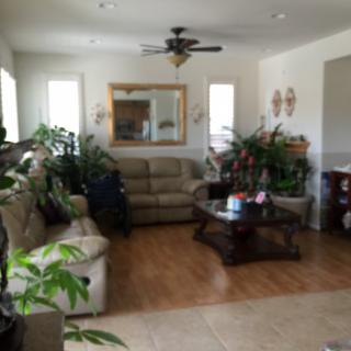A cozy living room with sofas, lush plants, a central coffee table, and a decorative mirror.