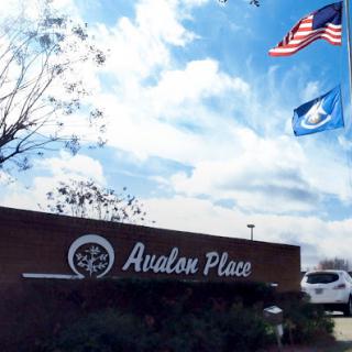 Entrance to Avalon Place with flags flying and a picturesque sky.