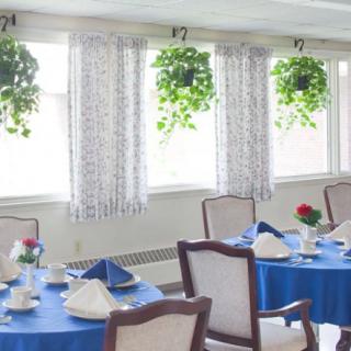 A bright dining room with tables set for a meal, featuring blue tablecloths and hanging plants by the windows.