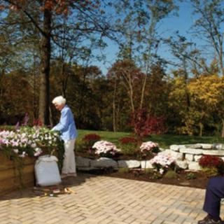 An elderly woman tends to a flower garden on a sunny day.