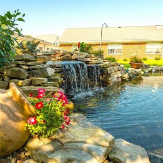 A serene garden pond with a cascading waterfall surrounded by rocks and vibrant flowers on a sunny day.