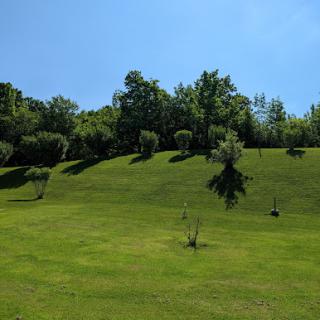 A serene view of a grassy hill dotted with trees under a clear blue sky.