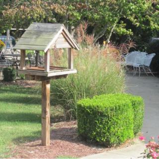 A wooden birdhouse stands in a lush garden surrounded by greenery and trimmed bushes.