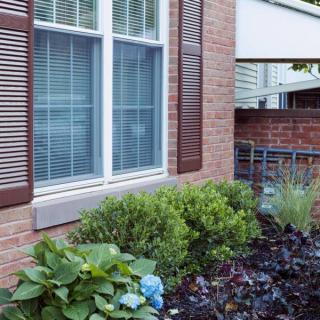 A view of a house exterior with a brick wall and window, surrounded by a small garden with various plants.