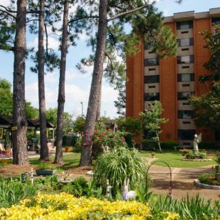 A tranquil garden area with tall trees and colorful flowers next to an apartment building.