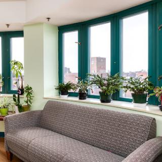A cozy living room area featuring a gray sofa and indoor plants, illuminated by natural light streaming through large windows.