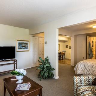 A cozy living room featuring a television, comfortable seating, a coffee table with books, and decorative plants.