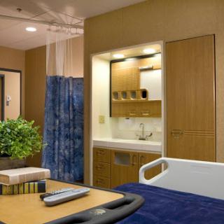 A well-designed hospital patient room featuring modern furnishings and a touch of greenery.