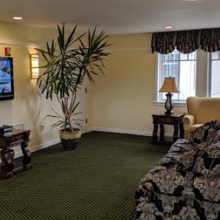 A cozy living room featuring a television, comfortable seating, and a decorative plant.