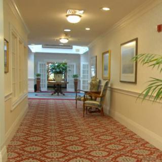 A well-lit hallway with patterned carpet and elegant decor, featuring framed art on the walls and a decorative plant at the end.