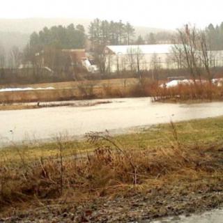 A flooded area with water overflowing a river, surrounded by trees and an overcast sky.