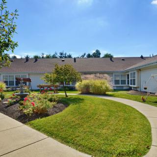 A well-maintained residential garden with a curved pathway and lush greenery on a sunny day.