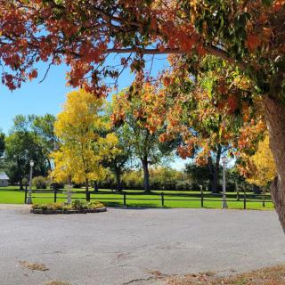 A beautiful park scene with vibrant autumn colors and clear blue skies.