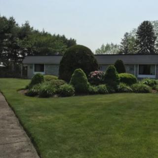 A well-maintained lawn with neatly trimmed bushes and a pathway leading to a house.